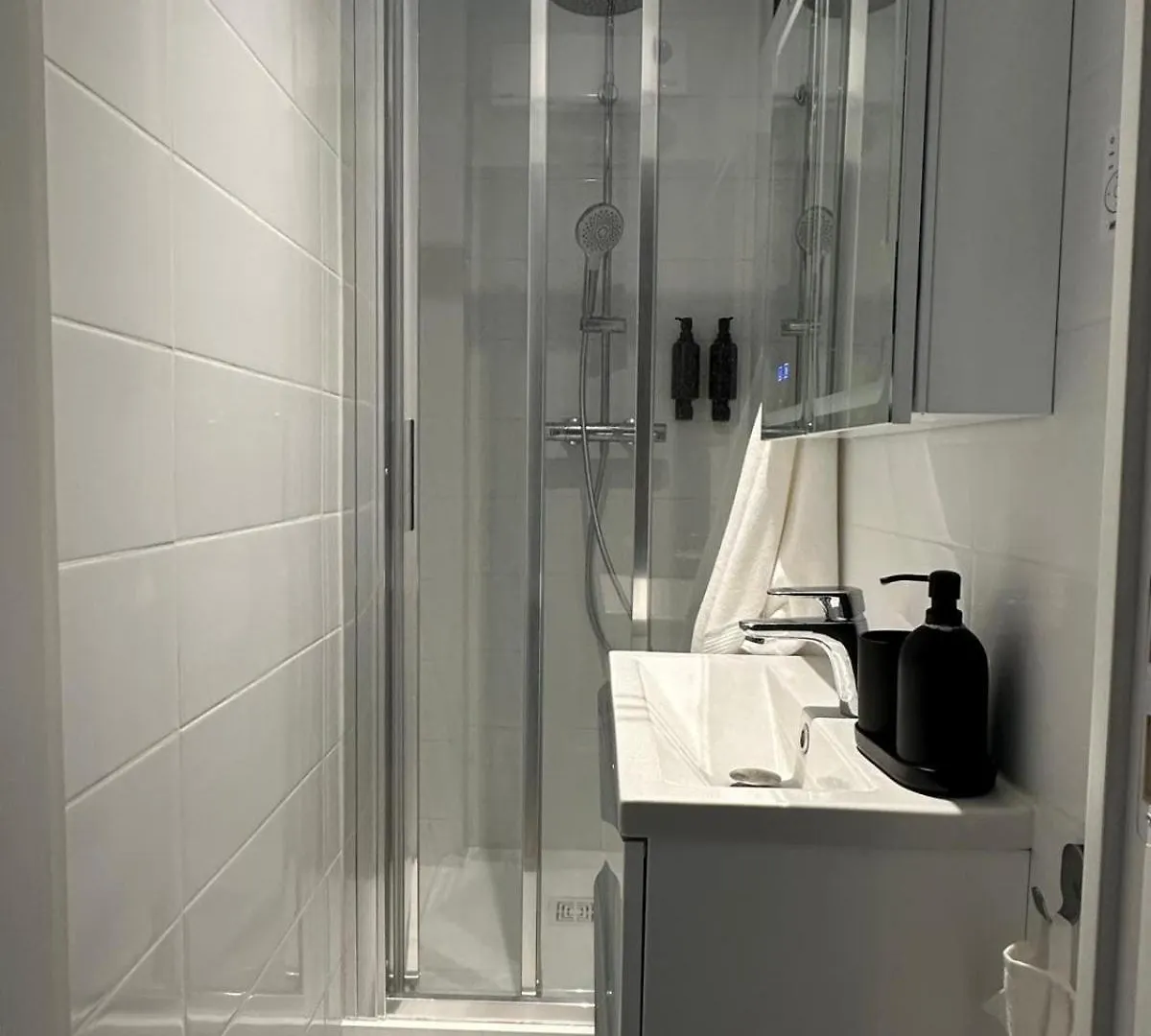 Magnifique 2 Pieces Renove A Neuf, Paris 15, Idealement Situe Apartment